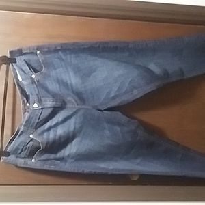 Melissa McCarthy Seven7 skinny jeans